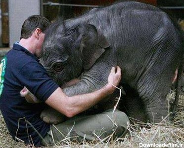 مهربان ترین حیوان دنیا +تصاویر