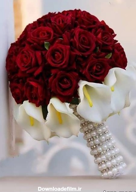 عکس گل های عروس زیبا