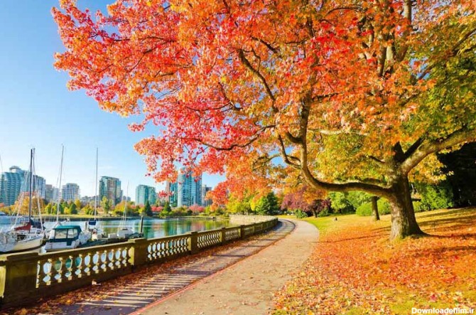 جاهای دیدنی ونکوور: یکی از زیباترین شهرهای دنیا | مجله علی بابا
