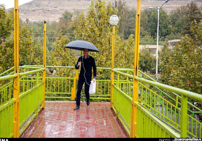 طبیعت بارانی شیراز (عکس)