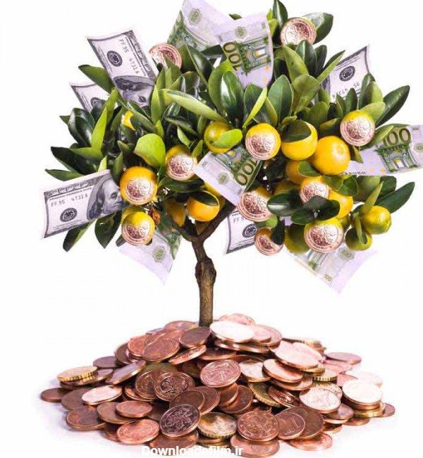 دانلود تصویر با کیفیت درخت میوه با برگ و اسکناس و ریشه هایی از سکه