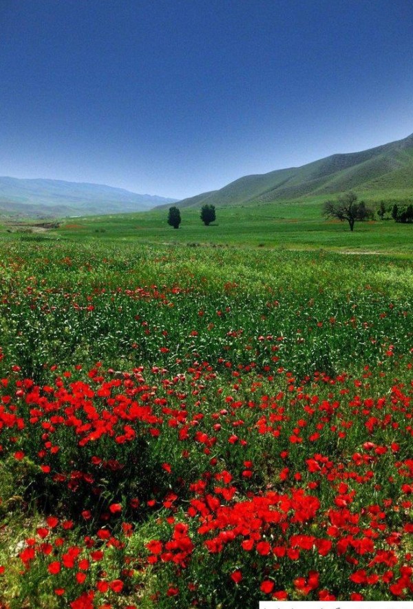 عکس با کیفیت بالا از طبیعت ایران