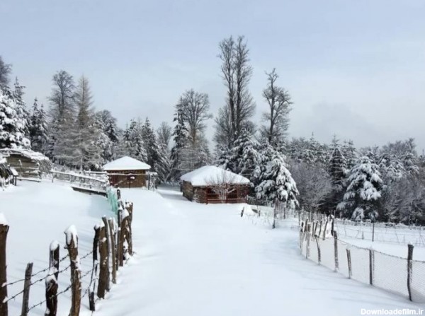 30 عکس شیک و لاکچری زمستان برای پروفایل و اینستاگرام