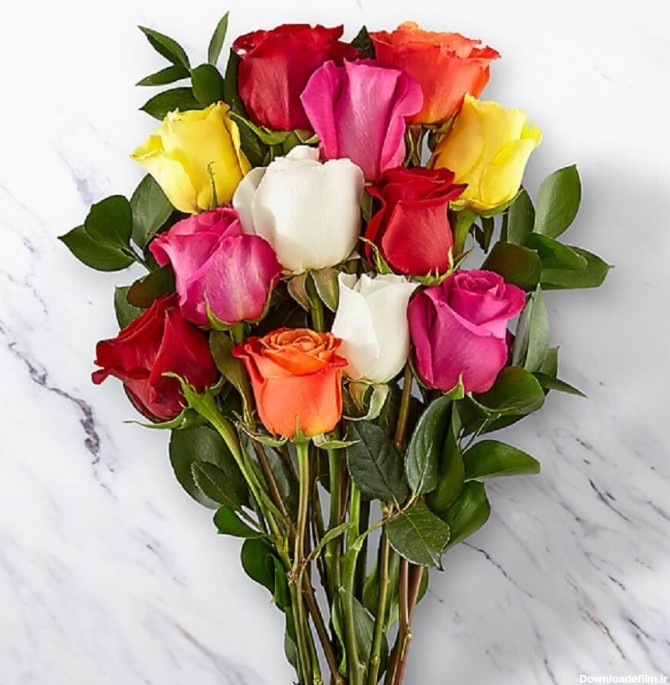 ارسال دسته گل رز های رنگی به آمریکا |گل بازار