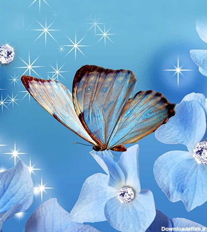 تصویر زمینه پروانه های جادویی - برنامه‌ها در Google Play