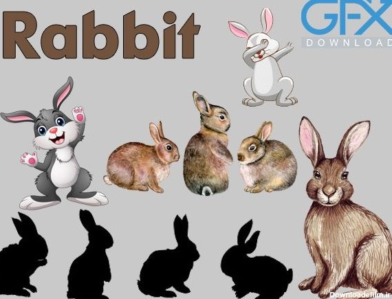 دانلود 11 وکتور خرگوش لایه باز فانتزی و کارتونی