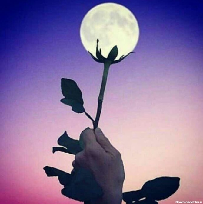 عکس عکاسی ماه شب آسمان گل فانتزی زیبا جذاب - عکس ویسگون