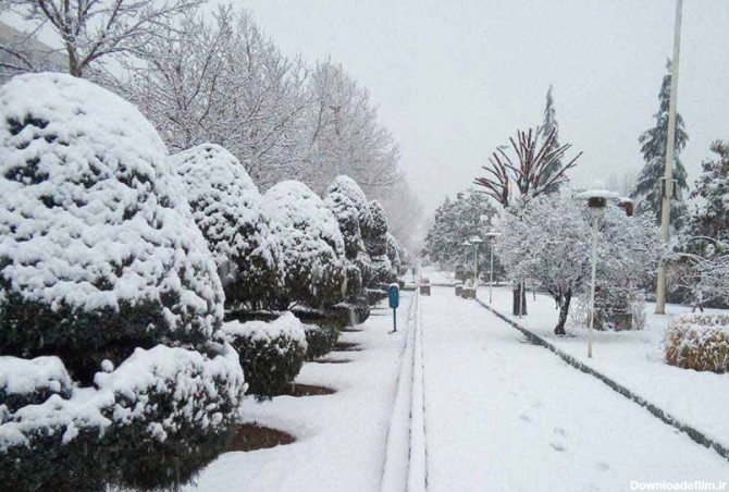 برف بازی در تهران | معرفی بهترین مکان‌ها + عکس و آدرس - کجارو