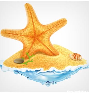 دانلود رایگان پس زمینه وکتور ساحل و ستاره دریایی (Sea Island Summer Holiday Elements vector background)