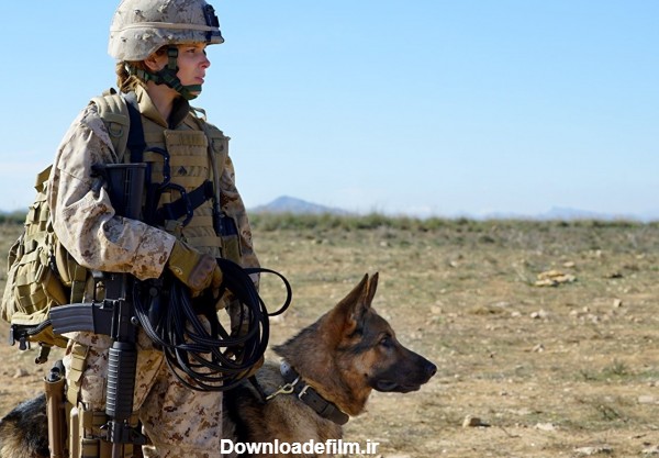 سینماگران آمریکایی چگونه از "سگ" قهرمان جنگی می سازند + عکس- اخبار ...