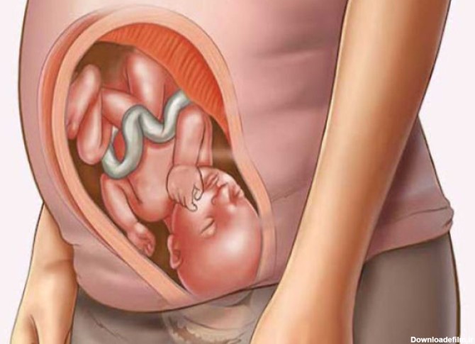 با شروع ماه شروع ماه هشتم بارداری چه چیزهایی در انتظار شماست؟