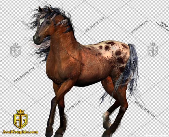 png اسب خالدار , پی ان جی اسب , دوربری اسب , عکس اسب با زمینه شفاف, اسب با فرمت png