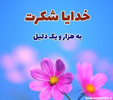 عکس شکرگزاری خداوند