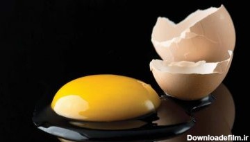 چند نکته‌ی عجیب که درباره‌ی تخم مرغ نمی‌دانستید