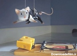 بهترین و کم هزینه ترین تله موش جهان + فیلم