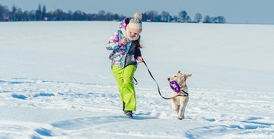 تصویر دختر در حال دویدن با سگ در برف | فری پیک ایرانی | پیک فری ...