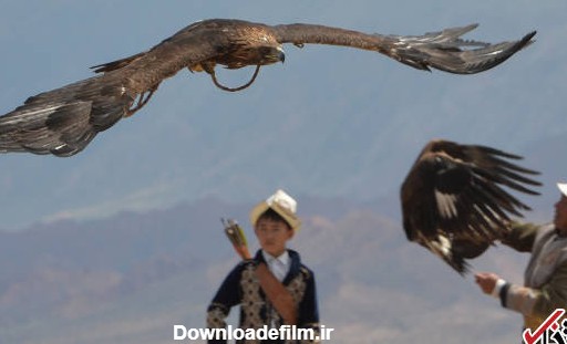 تصاویر : شکار با عقاب طلایی در قرقیزستان | سایت انتخاب