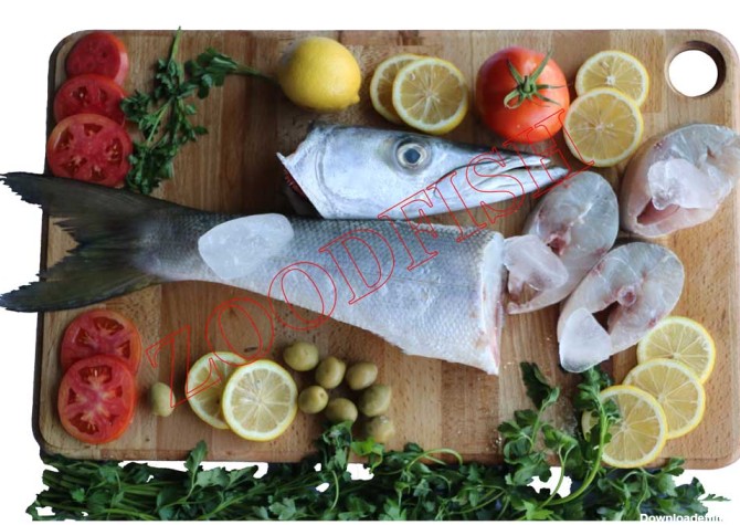 ماهی کوتر(شیر نیزه ای) - ماهی جنوب - زودفیش - خرید آنلاین ماهی ...