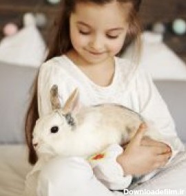 معرفی محبوبترین نژادهای خرگوش خانگی | دنیای حیوانات