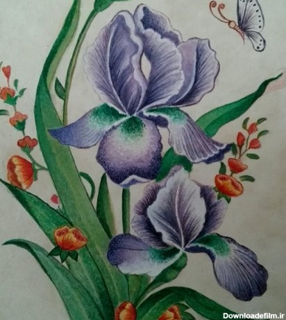 خرید و قیمت تابلو نقاشی گلهای زنبق از غرفه طرح گل | باسلام