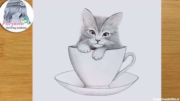 آموزش گام به گام طراحی با مداد - بچه گربه در فنجان