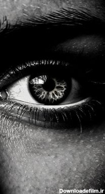تابلو سیاه و سفید چشم و ابرو - مبین چاپ