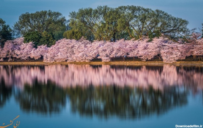 تصاویری زیبا و دل انگیز از طبیعت بهاری | جلوه های زیبای طبیعت در بهار