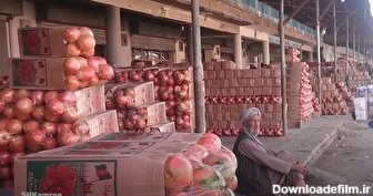 درباره انار افغانستان شنیده‌اید؟/ بزرگترین صادر کننده انار جهان را بشناسید (فیلم)