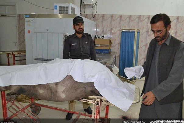 الجزیره از انتقال جسد رهبر طالبان به بیمارستان کویته خبر داد ...