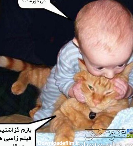 عکس بامزه گربه و بچه funny baby and cat