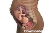 ماه هشتم بارداری - 7 علائم خطر زایمان در هشت ماهگی