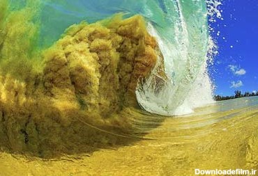 عکس /تصاویری زیبا از موج های دریا - تصاوير بزرگ - جهان نيوز