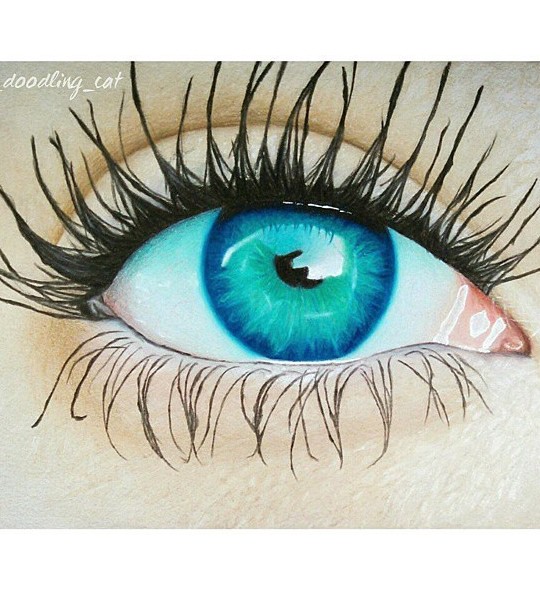 چشم فیروزه ای - عکس ویسگون