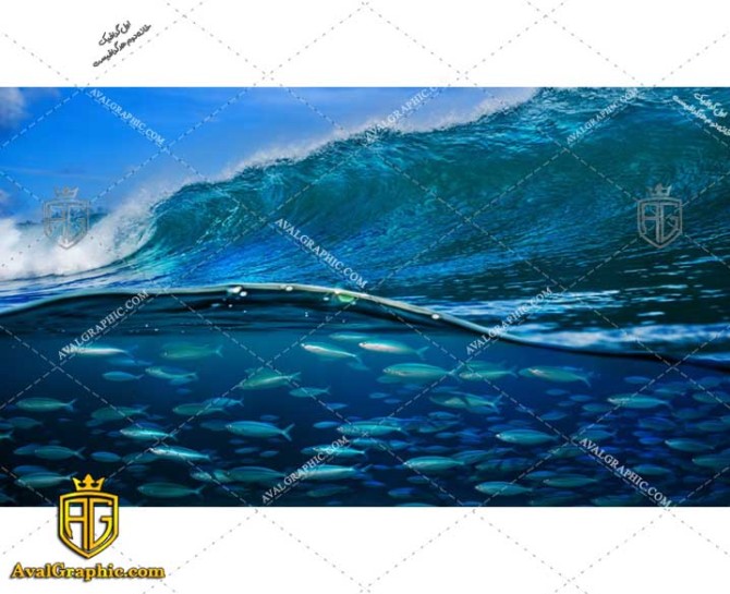 عکس با کیفیت ماهی و موج مناسب برای طراحی و چاپ - عکس ماهی - تصویر ماهی - شاتر استوک ماهی - شاتراستوک ماهی