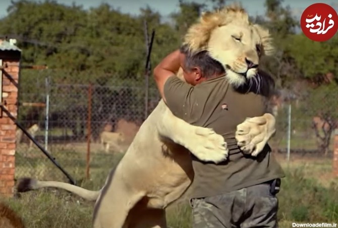 فرارو | (ویدئو) واکنش احساسی حیوانات به دیدار صاحبان‌شان پس از ...