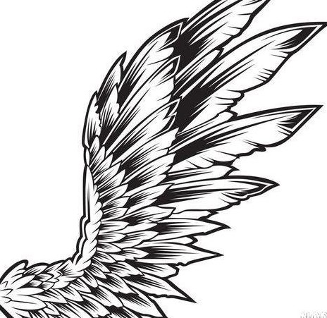 عکس بال عقاب برای تاتو