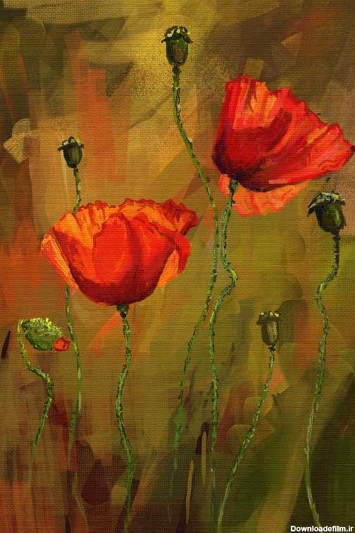 دانلود تصویر نقاشی گل لاله سرخ