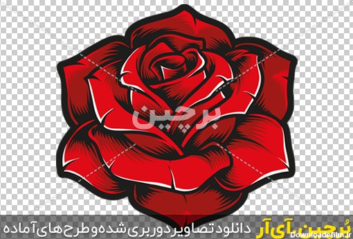 Borchin-ir-red_rose_flower_vector_logo غنچه باز شده گل رز سرخ png2