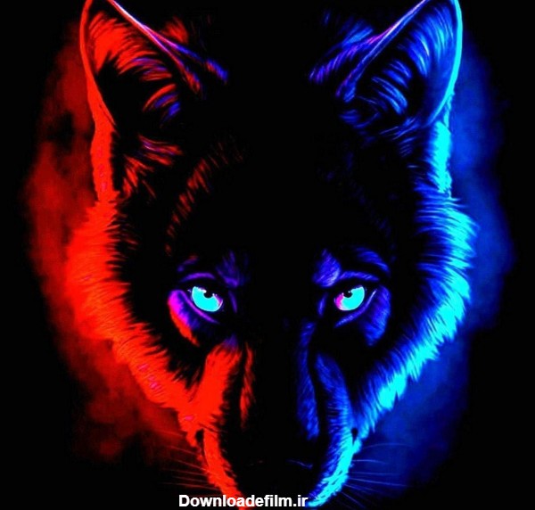 عکس گرگ چشم آبی و قرمز