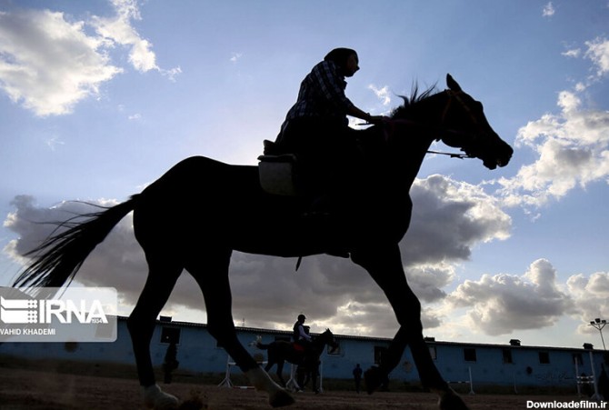 همشهری آنلاین - تصویر | مسابقات پرش با اسب در بجنورد