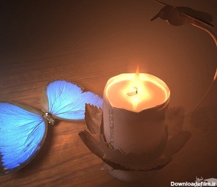 شمع و پروانه