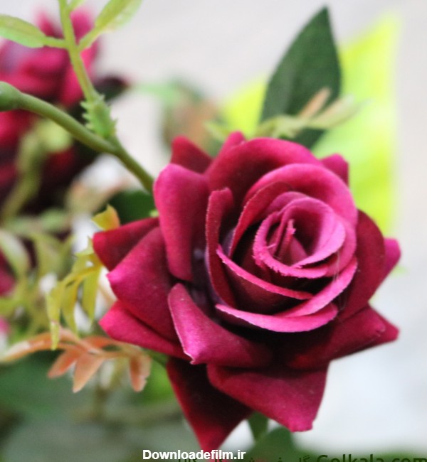 گلدان گل رز زیبا قرمز و صورتی | گلفروشی گل کالا | 75 هزار تومان