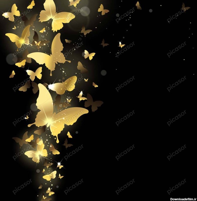 وکتور پس زمینه پروانه های طلایی درخشان - وکتور حاشیه پروانه طلایی ...