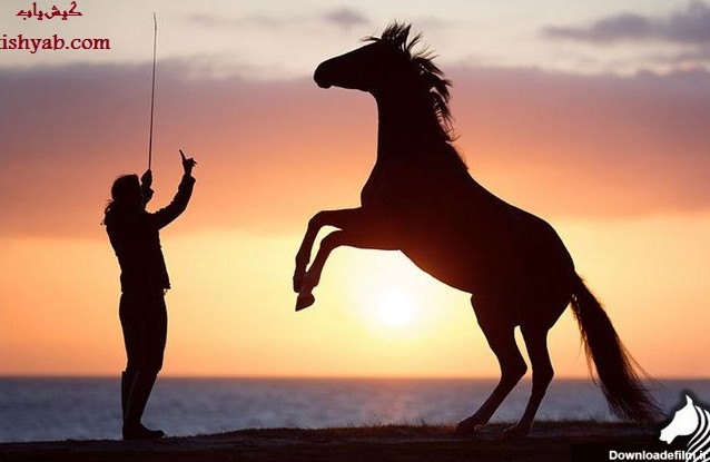تصاویر زیبای اسب سواری در کیش