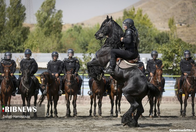 فرارو | (تصاویر) یگان اسب سواران نیروی انتظامی
