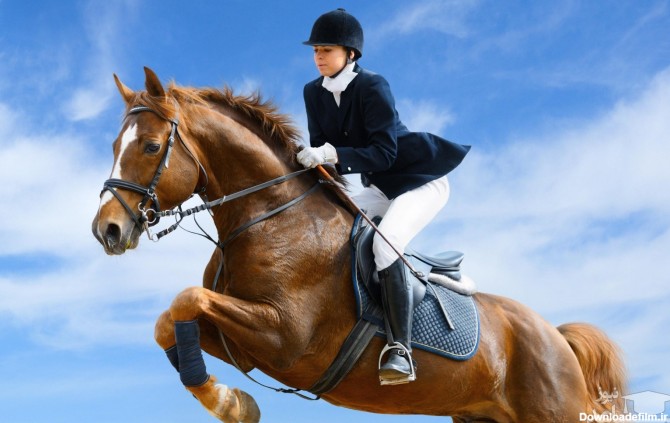 آشنایی با ورزش اسب سواری + فواید و مضرات این ورزش