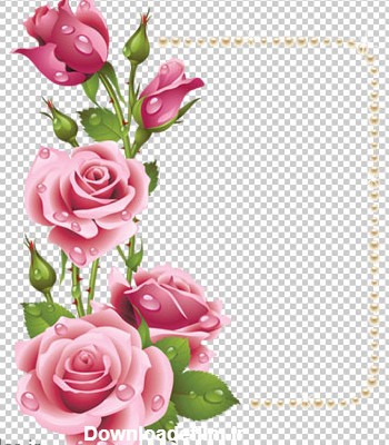فایل png قاب و حاشیه گل های رز صورتی زیبا
