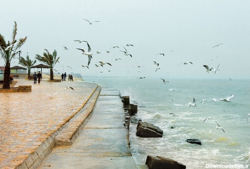 برای بوشهری‌ها که گرمای تابستان بوشهر را به راحتی طاقت می‌آورند، زمستان فصل شنا کردن در دریا نیست و بیشتر ترجیح می‌دهند در ساحل راه بروند و مرغان دریایی را تماشا کنند. اما وقت ظهر می‌توانید در دریا شنا کنید. اگر بعدازظهری هوای پیاده‌روی به سرتان زد، یک بادگير سبک را فراموش نکنید.