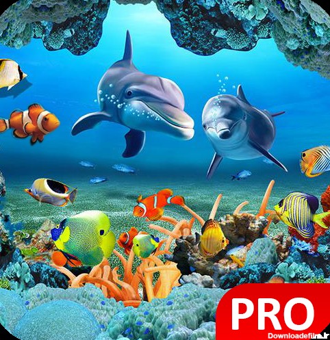 Fish Live Wallpaper Aquarium P - برنامه‌ها در Google Play