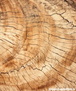 عکس زمینه چوب تنه درخت قدیمی قهوه ای
